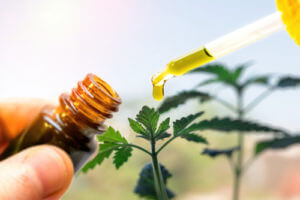 Best CBD Suppliers In The USA